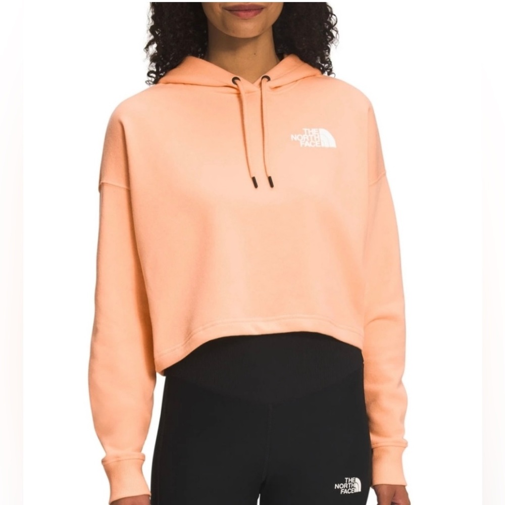 New The North Face Coordinates back print hoodie in apricot, Small, $65
